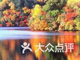 超级坦克联盟