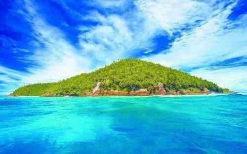 动物帮帮忙保卫家园