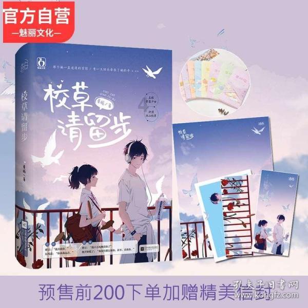 敏捷小球