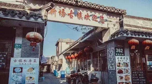 廉颇变异,直接从辅助晋升对抗路强者?