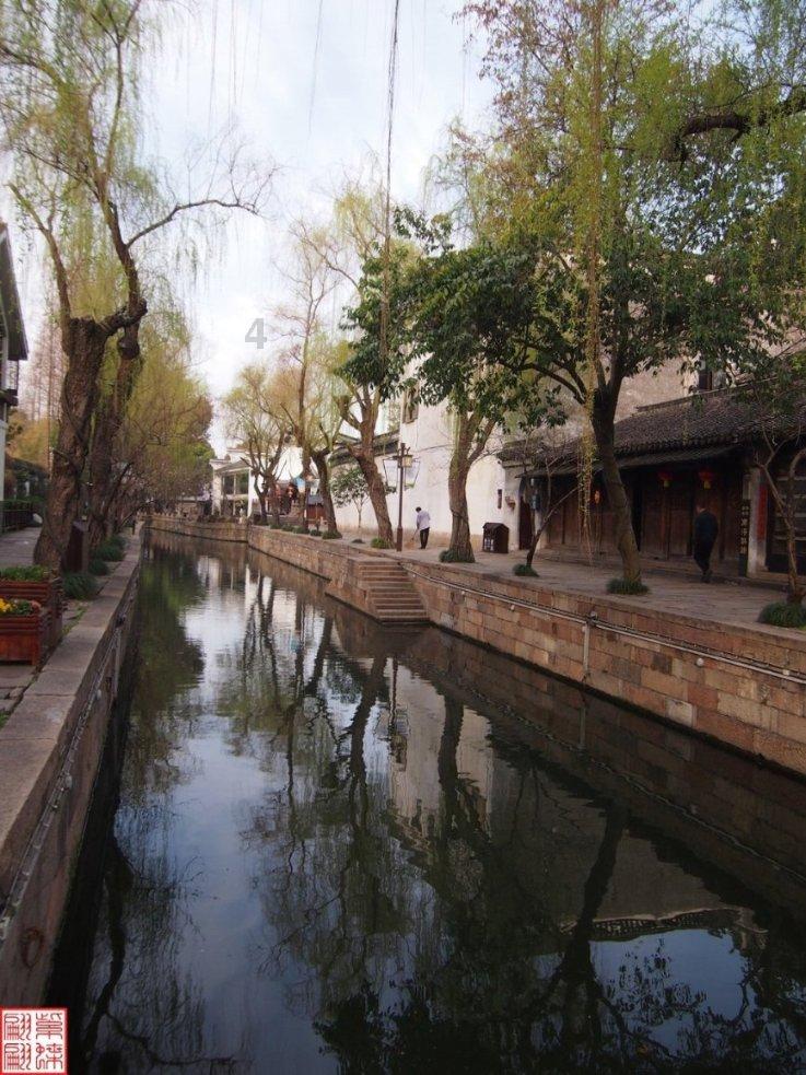 海阔天空任你游，是什么生肖？游戏画面