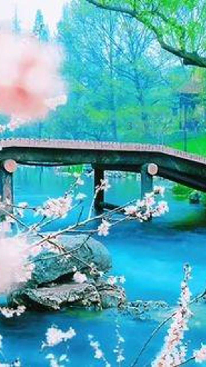 花瓶粉碎者